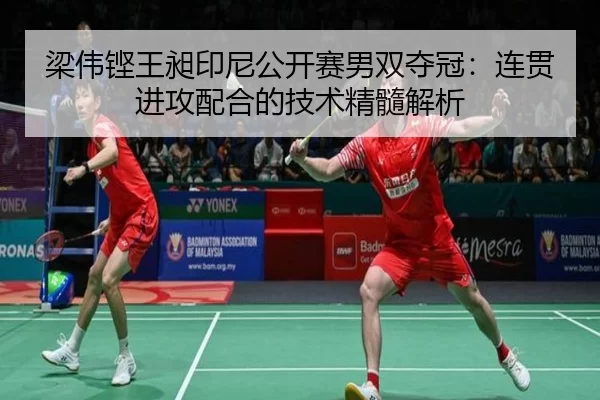 liang-wei-keng-wang-chang-yin-ni-gong-kai-sai-nan-shuang-duo-guan-lian-guan-jin-gong-pei-he-de-ji-shu-jing-sui-jie-xi-2-464.jpg